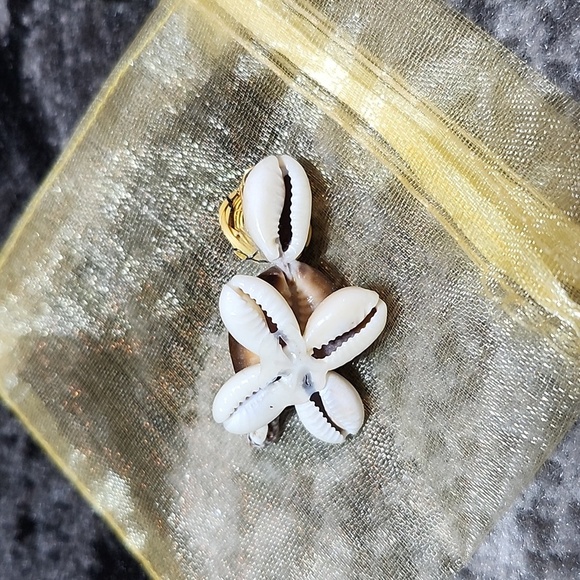 MINI COWRIE SHELLS TURTLE DECORATION DISPLAY WEALTH & FERTILITY - Picture 7 of 11